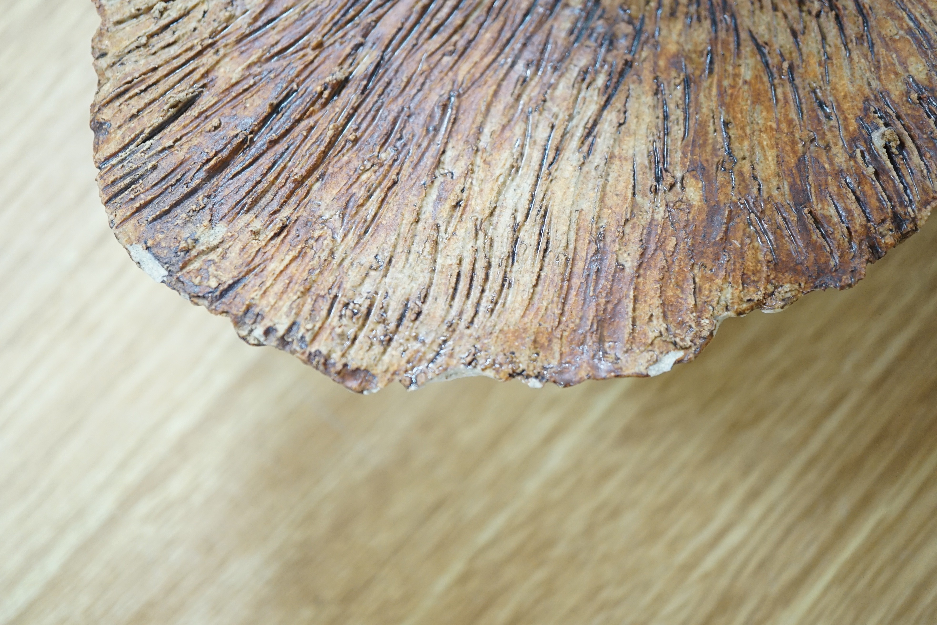 Ruth Sulke - two studio glazed stoneware ‘mushroom’ vases, together with a small studio pottery jardiniere, tallest 21cm
